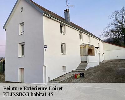 Peinture Extérieure 45 Loiret KLISSING habitat 45