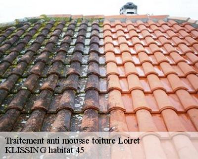 Traitement anti mousse toiture 45 Loiret  Langlois Jean