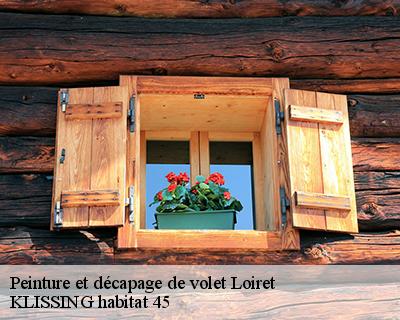 Peinture et décapage de volet 45 Loiret  Langlois Jean