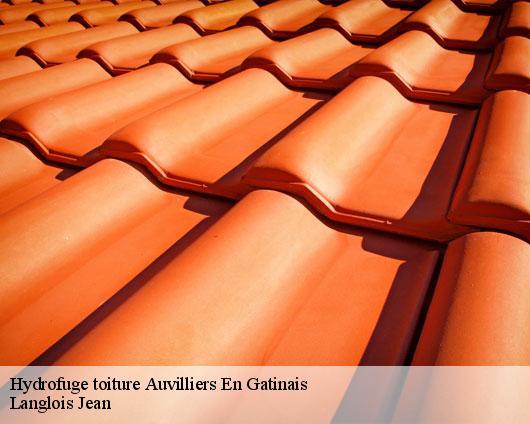 Hydrofuge toiture  auvilliers-en-gatinais-45270 Langlois Jean