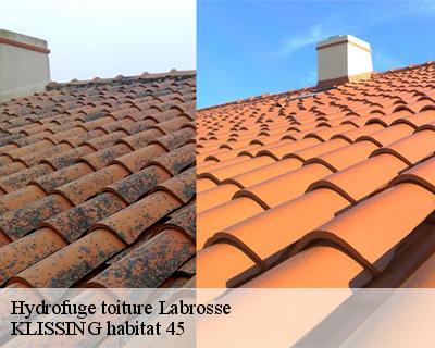 Hydrofuge toiture labrosse-45330 KLISSING habitat 45