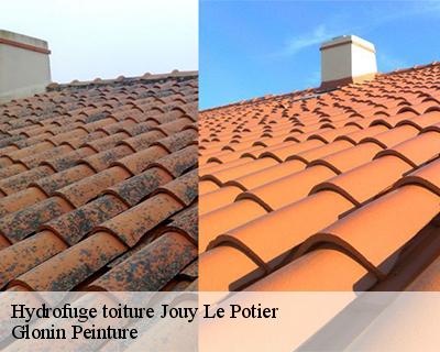 Hydrofuge toiture  45370