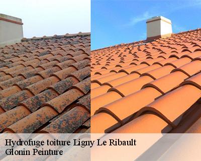 Hydrofuge toiture  45240