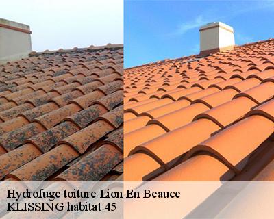 Hydrofuge toiture lion-en-beauce-45410 KLISSING habitat 45