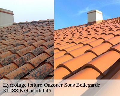 Hydrofuge toiture  ouzouer-sous-bellegarde-45270 KLISSING habitat 45