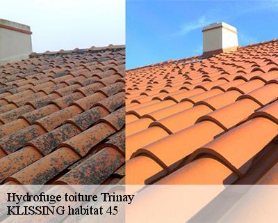 Hydrofuge toiture trinay-45410 KLISSING habitat 45