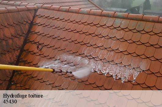 Hydrofuge toiture  45430