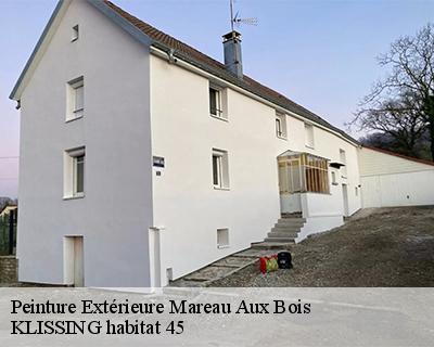 Peinture Extérieure  mareau-aux-bois-45300 Langlois Jean