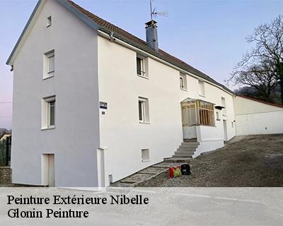 Peinture Extérieure  45340