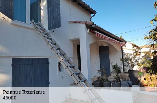 Peinture Extérieure 45000