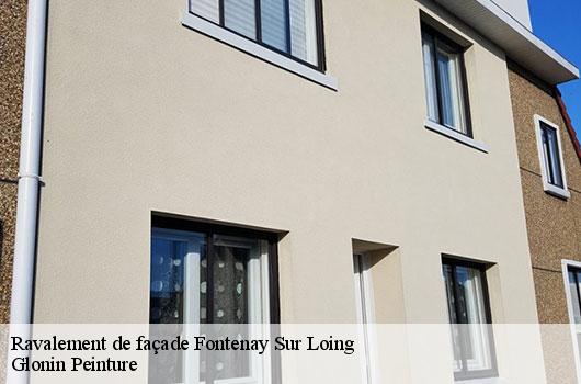 Ravalement de façade  45210