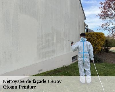 Nettoyage de façade  45120