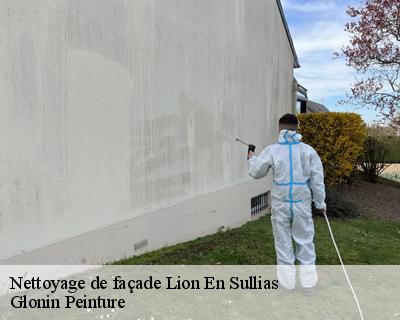 Nettoyage de façade  45600