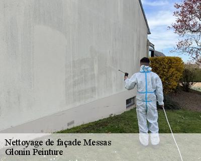 Nettoyage de façade  45190