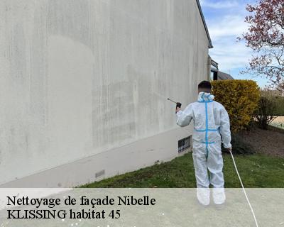 Nettoyage de façade nibelle-45340 KLISSING habitat 45