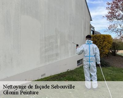 Nettoyage de façade  45300