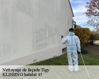 Nettoyage de façade tigy-45510 KLISSING habitat 45
