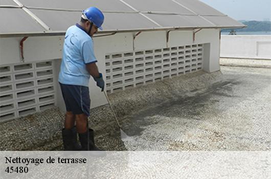 Nettoyage de terrasse 45480