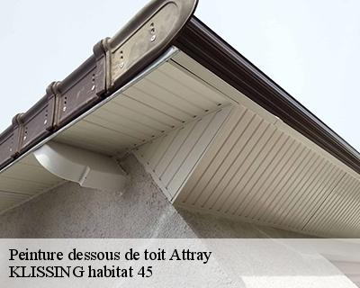 Peinture dessous de toit attray-45170 KLISSING habitat 45