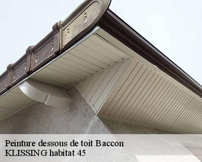 Peinture dessous de toit baccon-45130 KLISSING habitat 45