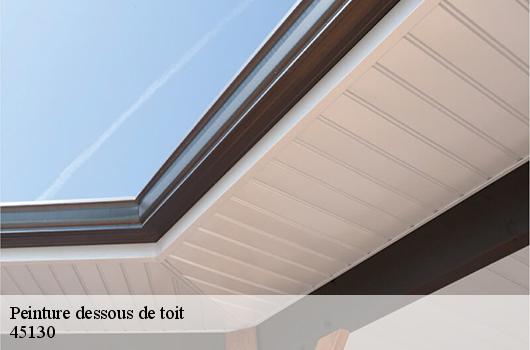 Peinture dessous de toit 45130