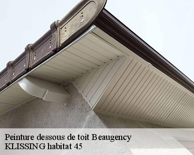 Peinture dessous de toit beaugency-45190 KLISSING habitat 45