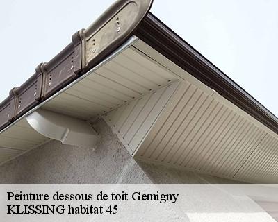 Peinture dessous de toit  gemigny-45310 Langlois Jean