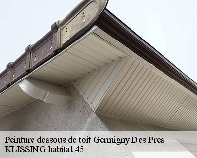 Peinture dessous de toit germigny-des-pres-45110 KLISSING habitat 45