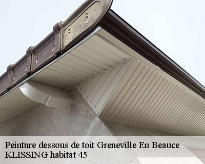 Peinture dessous de toit greneville-en-beauce-45480 KLISSING habitat 45
