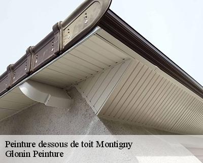 Peinture dessous de toit  45170