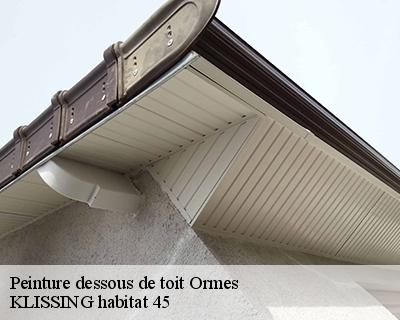 Peinture dessous de toit  ormes-45140 KLISSING habitat 45