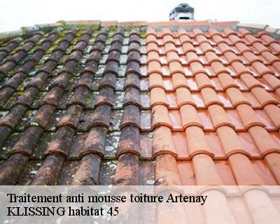 Traitement anti mousse toiture  artenay-45410 KLISSING habitat 45