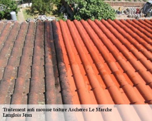 Traitement anti mousse toiture  ascheres-le-marche-45170 Langlois Jean