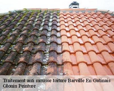 Traitement anti mousse toiture  45340