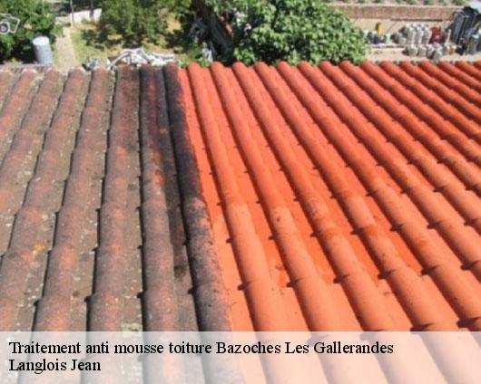 Traitement anti mousse toiture  bazoches-les-gallerandes-45480 Langlois Jean