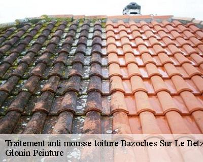 Traitement anti mousse toiture  45210