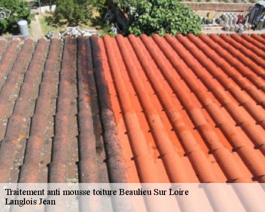 Traitement anti mousse toiture  beaulieu-sur-loire-45630 Langlois Jean