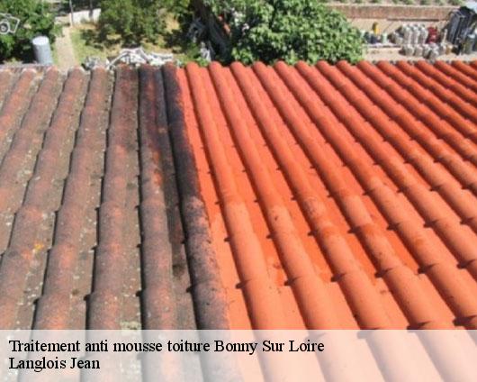 Traitement anti mousse toiture  bonny-sur-loire-45420 Langlois Jean