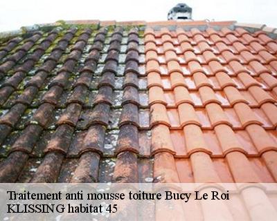 Traitement anti mousse toiture bucy-le-roi-45410 KLISSING habitat 45
