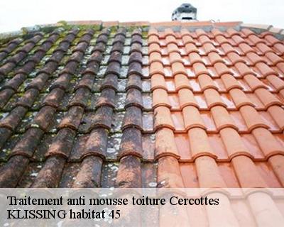 Traitement anti mousse toiture cercottes-45520 KLISSING habitat 45