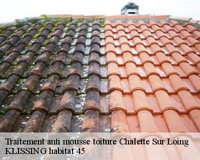 Traitement anti mousse toiture chalette-sur-loing-45120 KLISSING habitat 45
