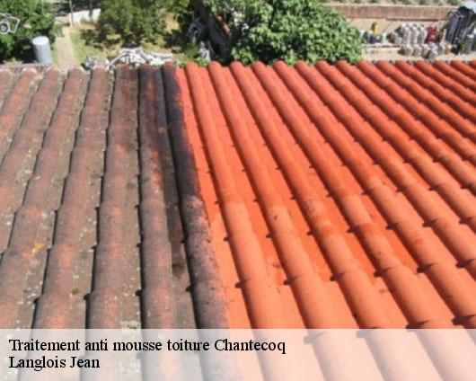 Traitement anti mousse toiture  chantecoq-45320 SB Rénovation