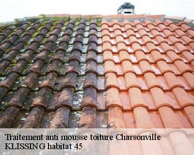 Traitement anti mousse toiture charsonville-45130 KLISSING habitat 45