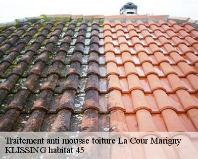 Traitement anti mousse toiture  la-cour-marigny-45260 KLISSING habitat 45