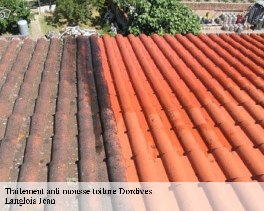 Traitement anti mousse toiture  dordives-45680 SB Rénovation