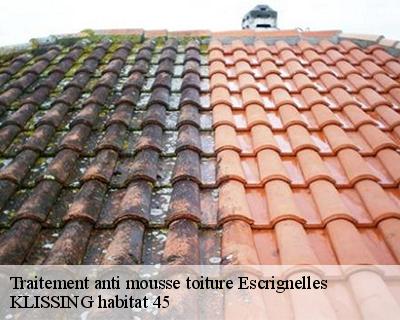 Traitement anti mousse toiture  escrignelles-45250 KLISSING habitat 45