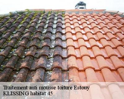 Traitement anti mousse toiture  estouy-45300 Langlois Jean