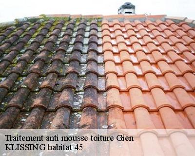 Traitement anti mousse toiture  gien-45500 Langlois Jean