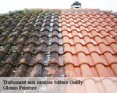Traitement anti mousse toiture  45600
