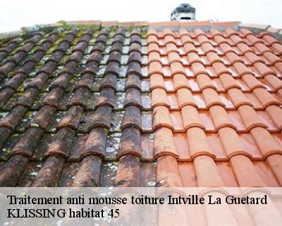 Traitement anti mousse toiture intville-la-guetard-45300 KLISSING habitat 45